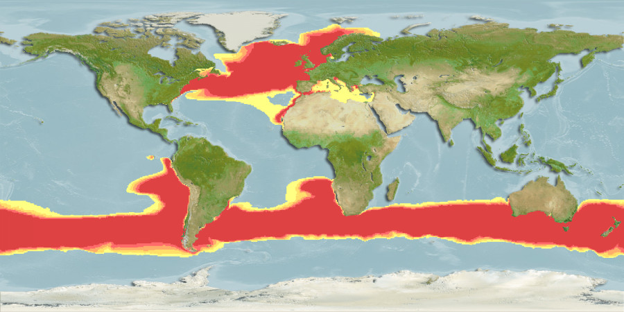 Aquamaps of Lamna nasus