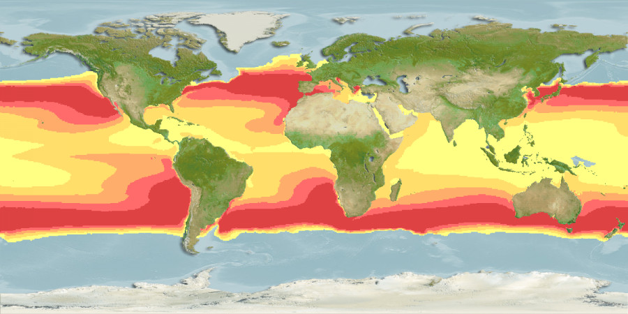 Aquamaps of Thunnus alalunga