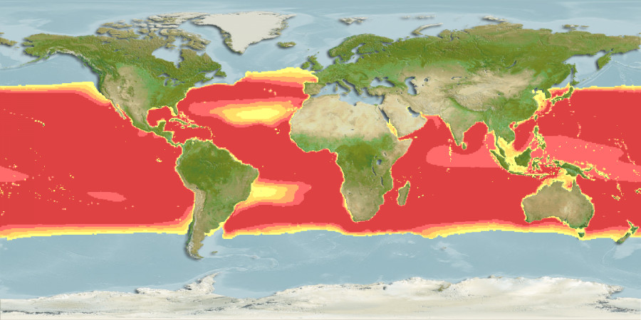 Aquamaps of Thunnus obesus