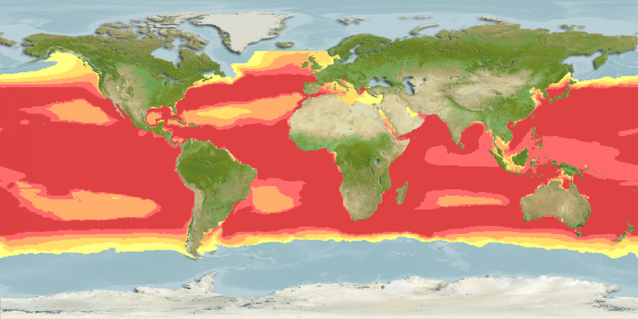 Aquamaps of Isurus oxyrinchus