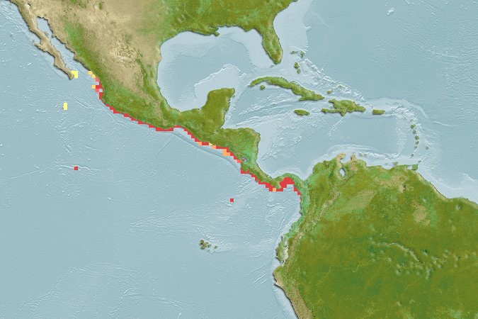 Aquamaps of Acanthemblemaria hancocki