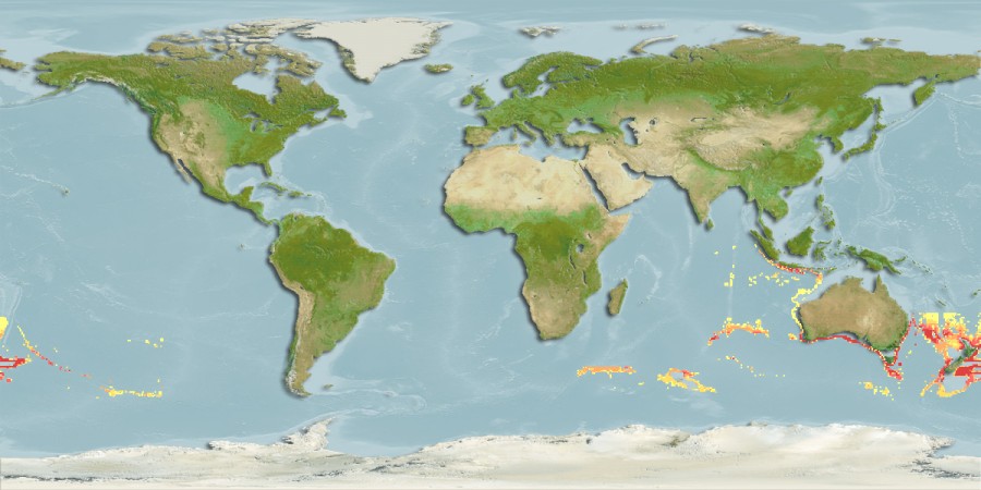 Aquamaps of Idiolophorhynchus andriashevi