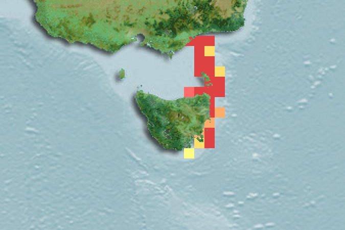 Aquamaps of Echinophryne mitchellii