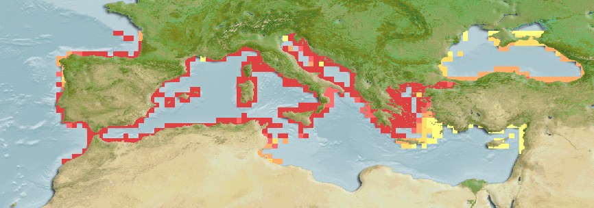 Aquamaps of Salaria pavo