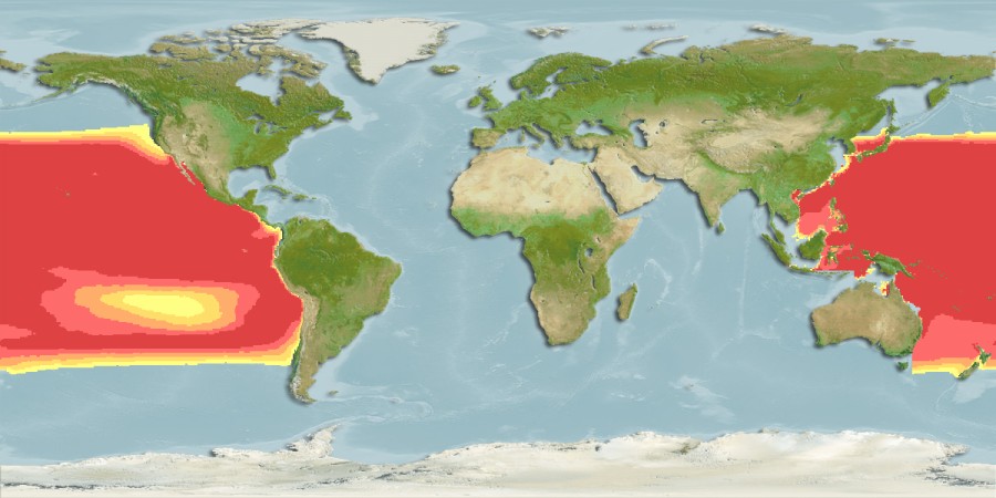 Aquamaps of Nannobrachium nigrum