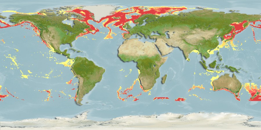 Aquamaps of Amblyraja hyperborea