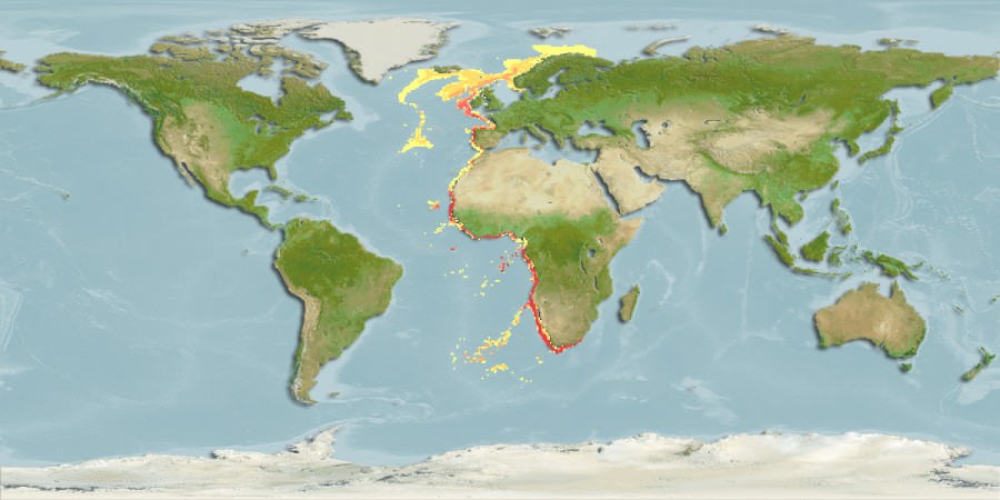 Aquamaps of Rajella barnardi
