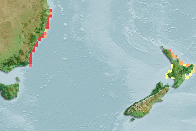 Aquamaps of Meuschenia trachylepis