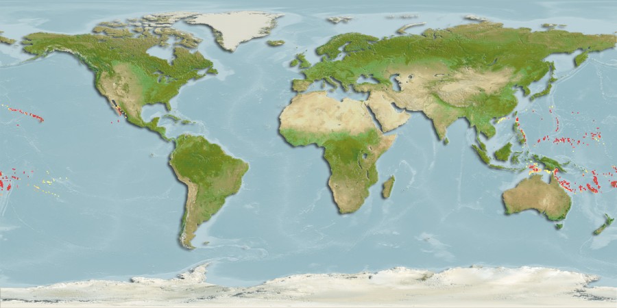 Aquamaps of Anarchias leucurus