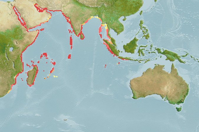Aquamaps of Zebrasoma desjardinii