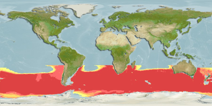 Aquamaps of Nannobrachium achirus