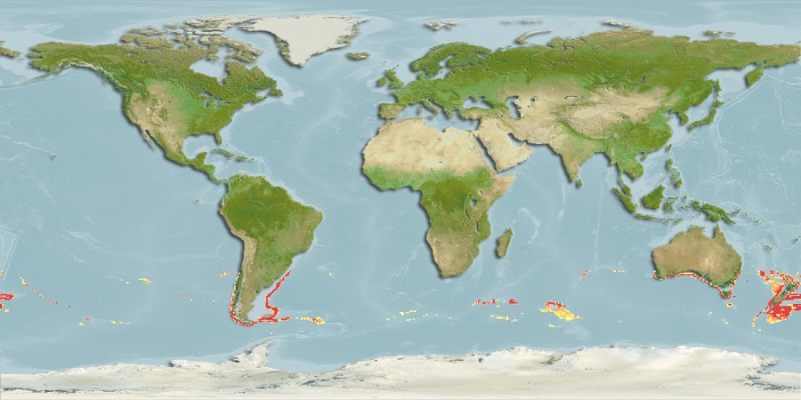 Aquamaps of Notophycis marginata