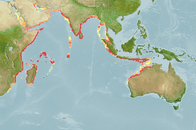 Aquamaps of Plicofollis dussumieri