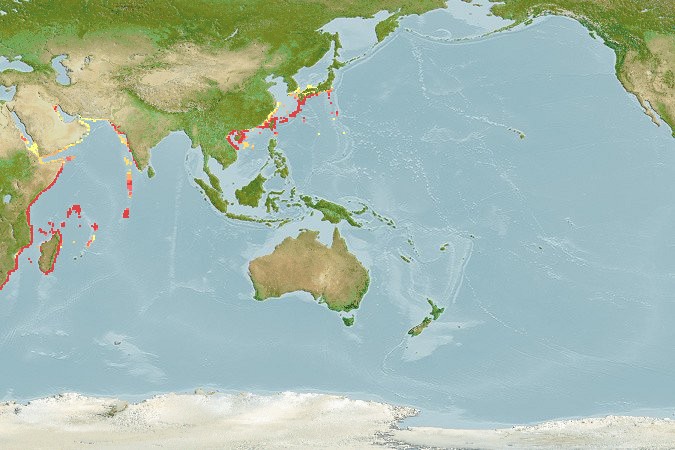 Aquamaps of Aseraggodes xenicus