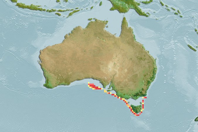 Aquamaps of Rajella challengeri