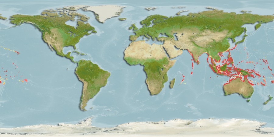 Aquamaps of Plectorhinchus chaetodonoides