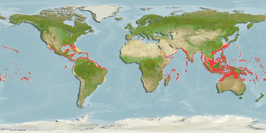 Aquamaps of Brama dussumieri