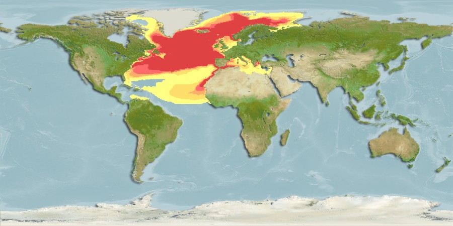Aquamaps of Benthosema glaciale