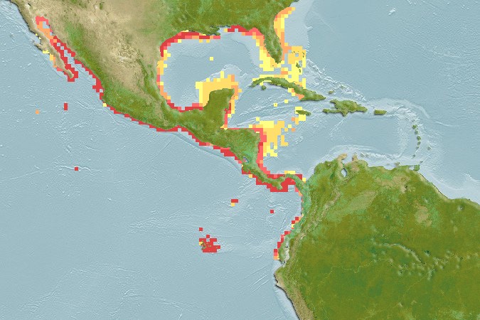 Aquamaps of Lutjanus viridis