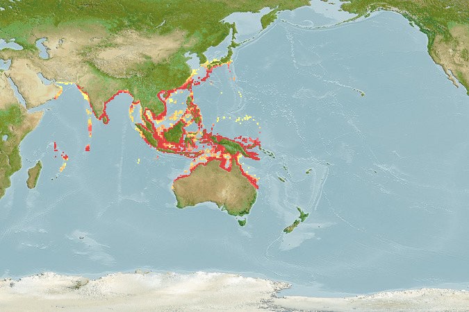 Aquamaps of Lates calcarifer