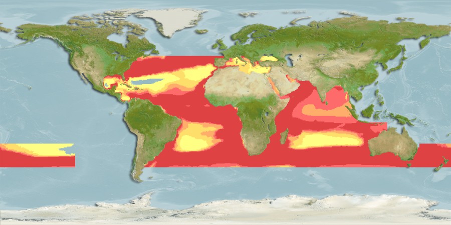 Карта мест обитания рыбы луфарь (гумбар, bluefish) 