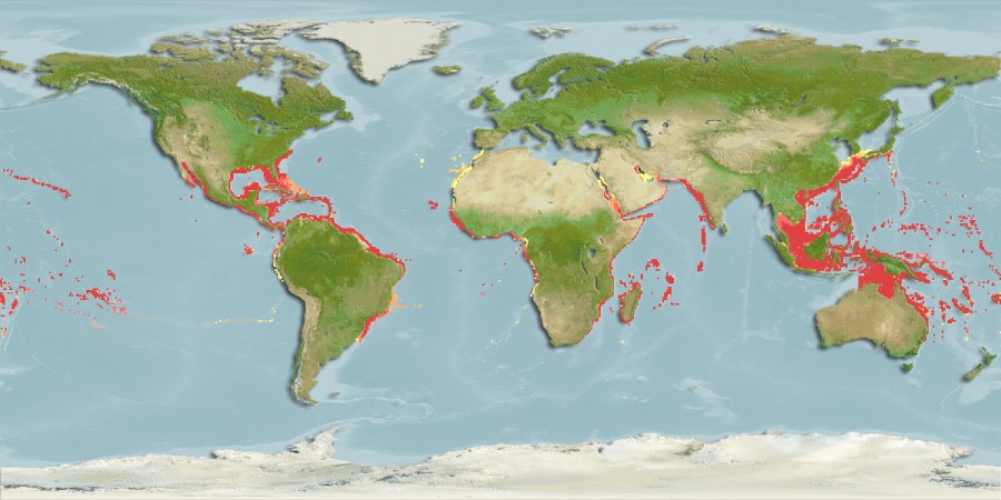 Aquamaps of Carcharhinus galapagensis