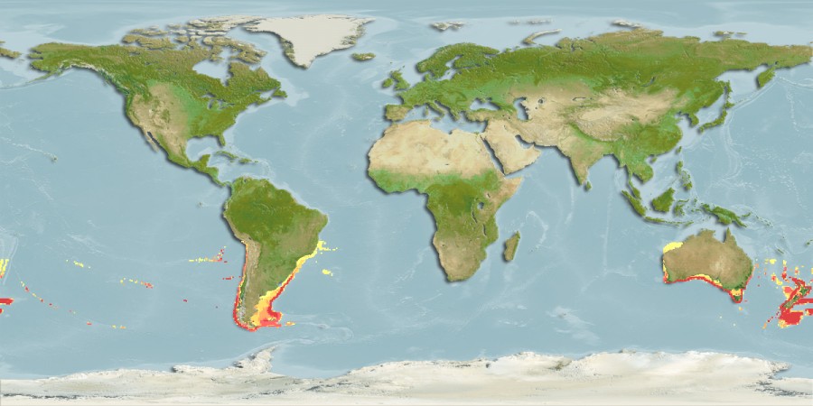 Aquamaps of Genypterus blacodes