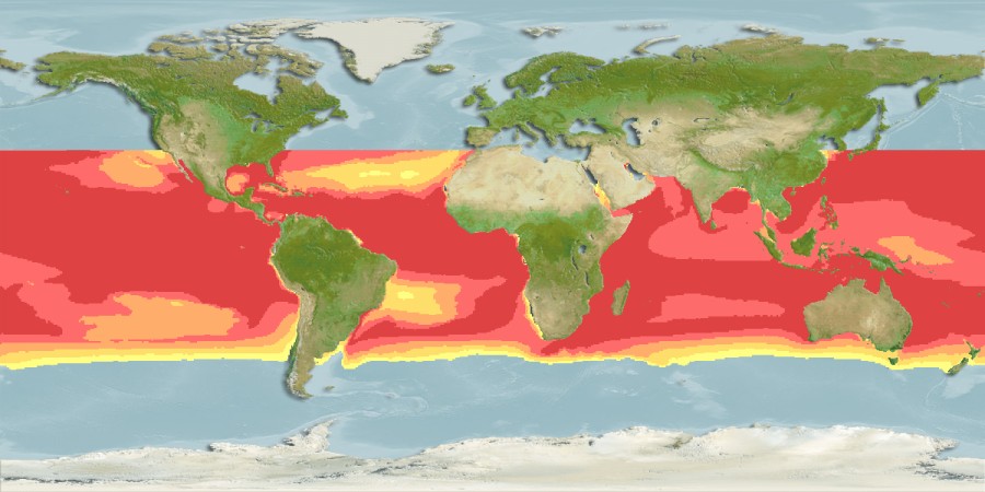 Aquamaps of Isistius brasiliensis