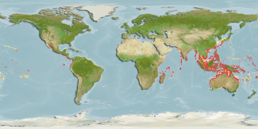 Aquamaps of Carangoides oblongus