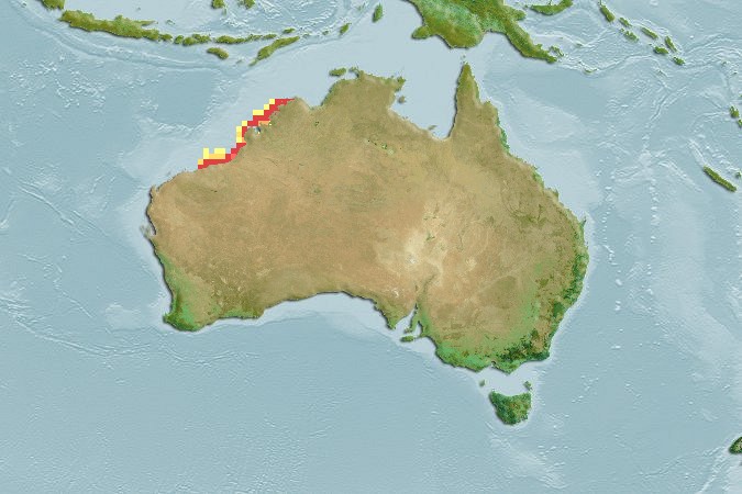 Aquamaps of Herklotsichthys blackburni