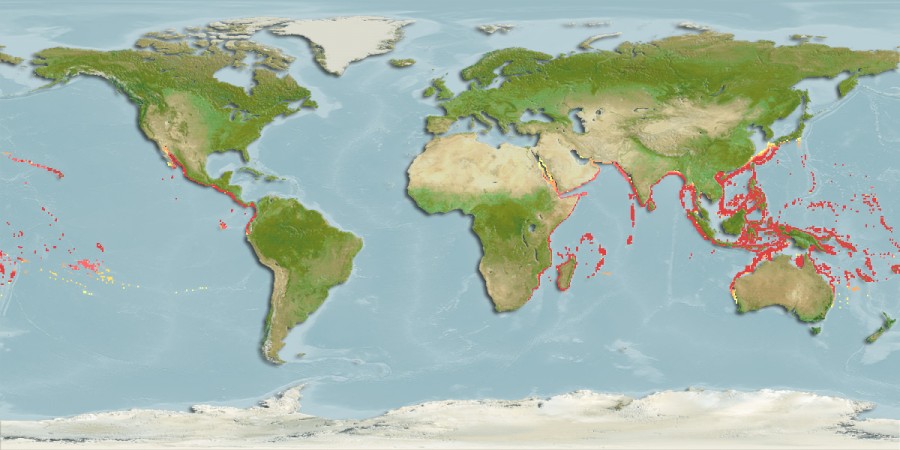 Aquamaps of Wattsia mossambica