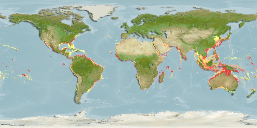 Aquamaps of Aluterus monoceros