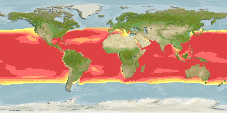 Aquamaps of Remora osteochir