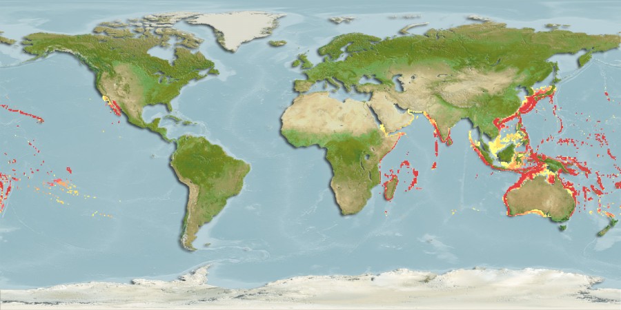 Aquamaps of Taractichthys steindachneri