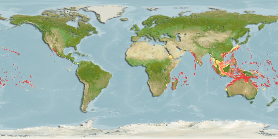 Aquamaps of Sargocentron tiere