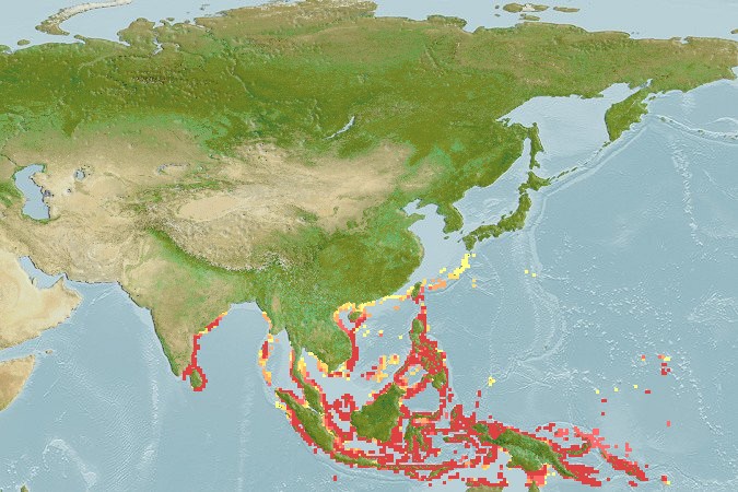 Aquamaps of Chaetodontoplus mesoleucus