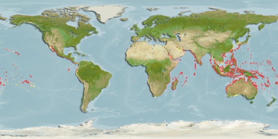 Aquamaps of Scorpaenodes guamensis