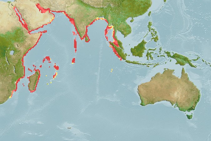 Aquamaps of Nemipterus bipunctatus