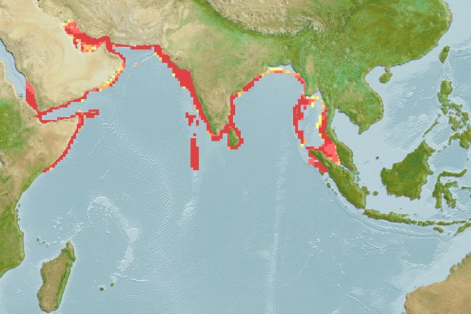 Aquamaps of Parascolopsis aspinosa