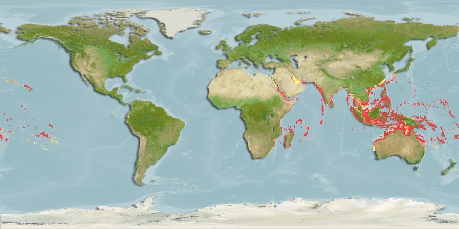 Aquamaps of Balistapus undulatus
