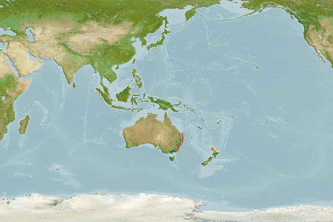 Aquamaps of Centropogon australis