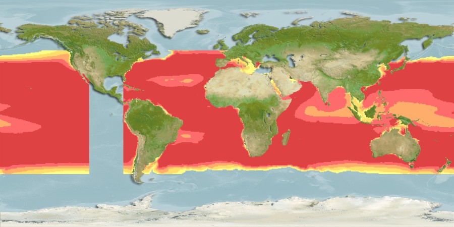 Aquamaps of Diogenichthys atlanticus
