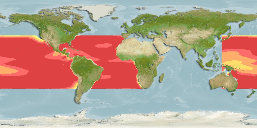 Aquamaps of Taaningichthys minimus