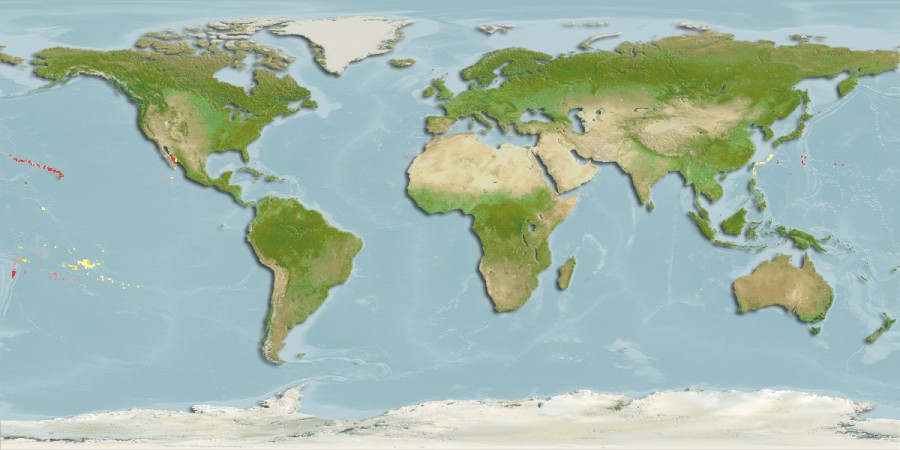Aquamaps of Thalassoma ballieui