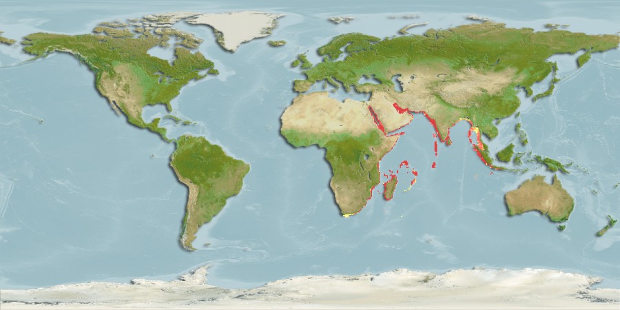 Aquamaps of Pterois miles