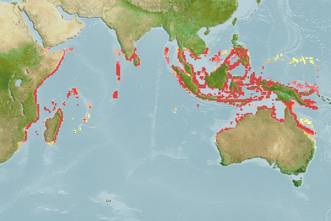 Aquamaps of Scatophagus tetracanthus