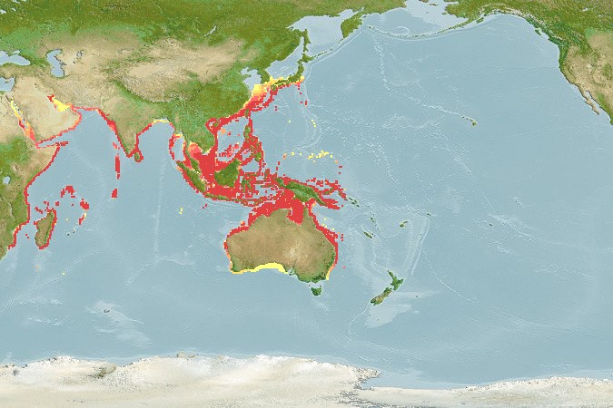 Aquamaps of Tentoriceps cristatus