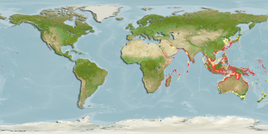 Aquamaps of Hyporhamphus limbatus