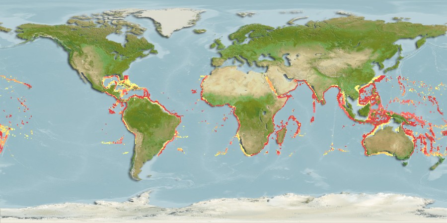 Aquamaps of Bathyuroconger vicinus