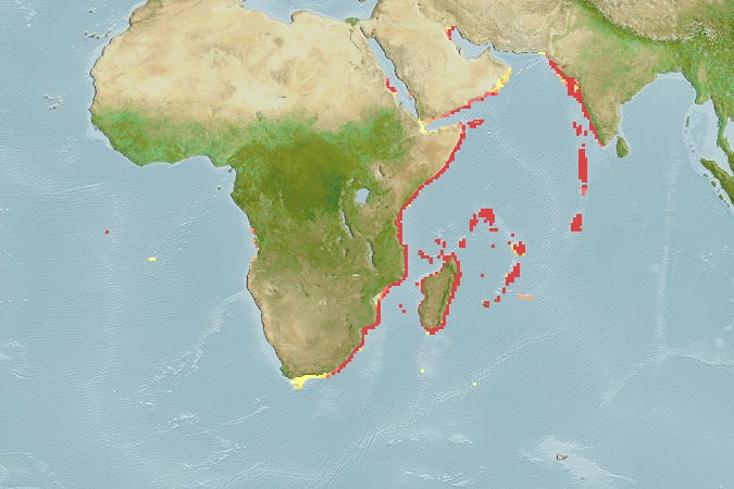 Aquamaps of Centropyge acanthops